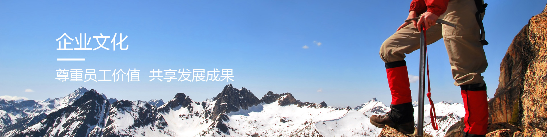 振协基金